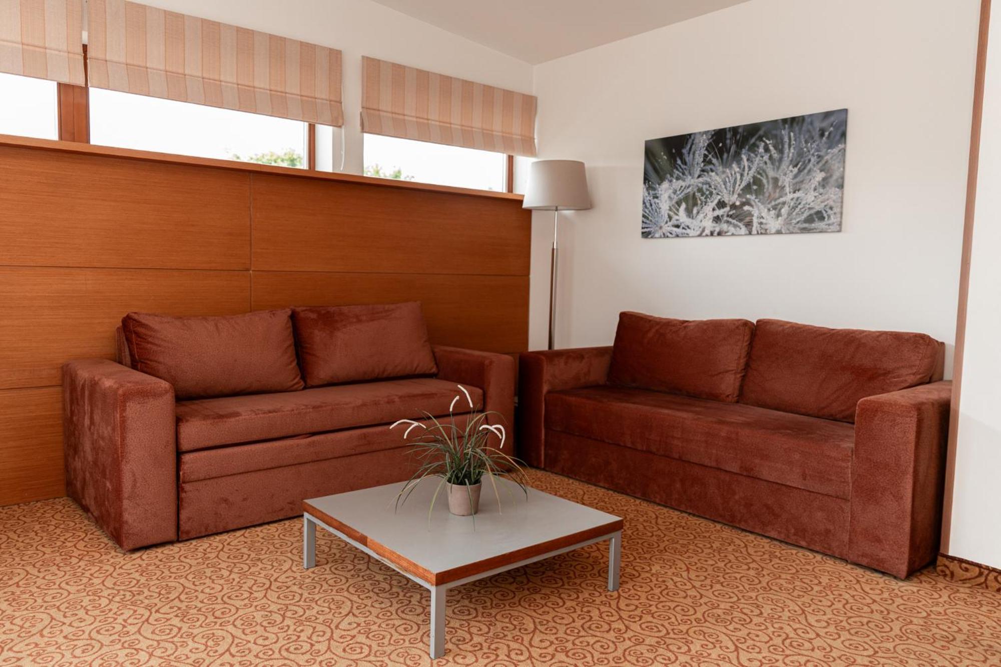 De Lita Hotel Druskininkai Buitenkant foto
